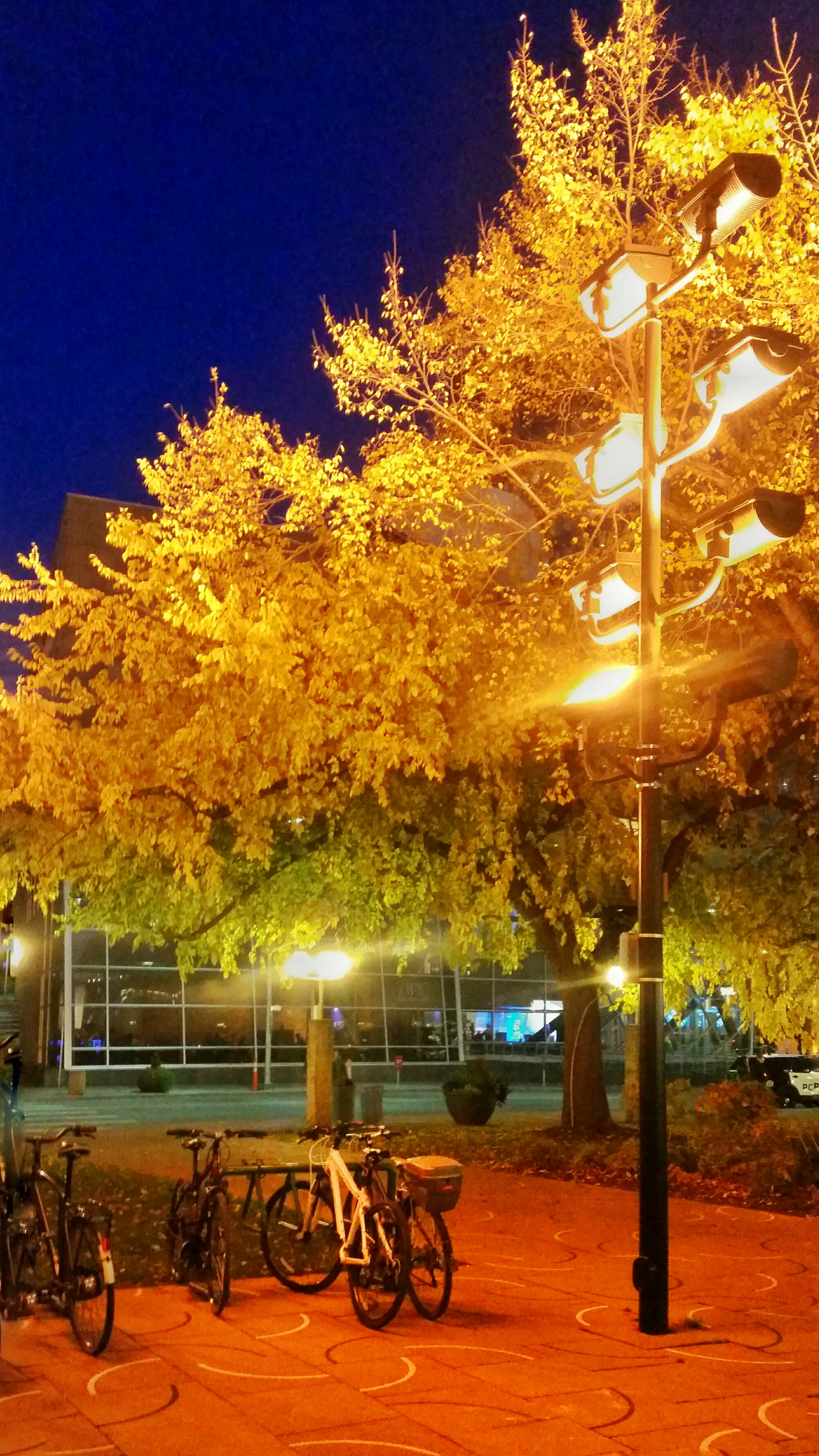20150926_200247-01.jpeg image