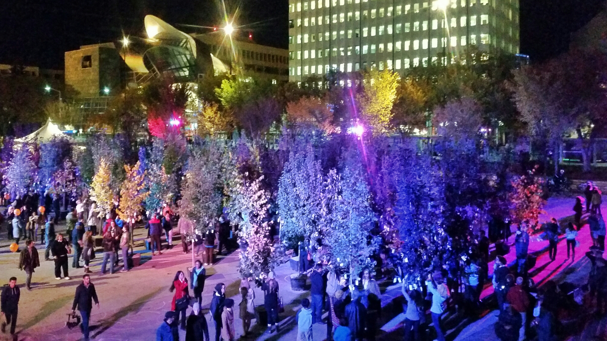20150926_203212-01.jpeg image
