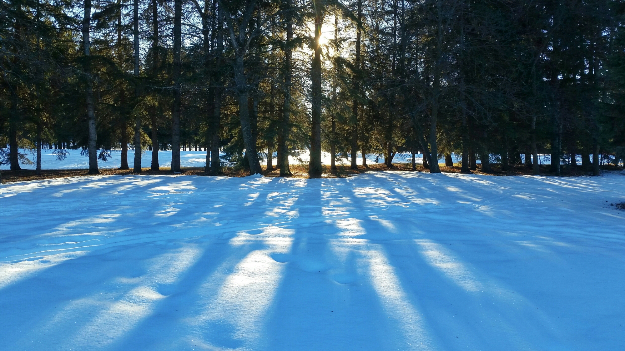 20160213_160709-01.jpeg image