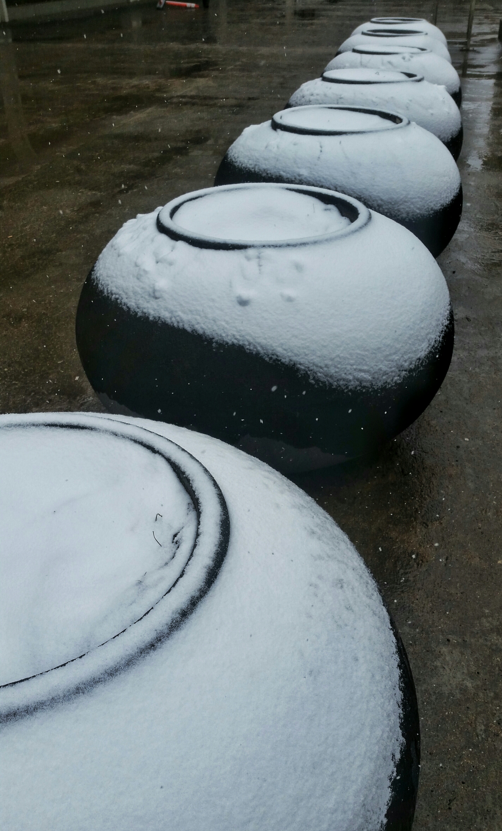 20160321_124609-01.jpeg image